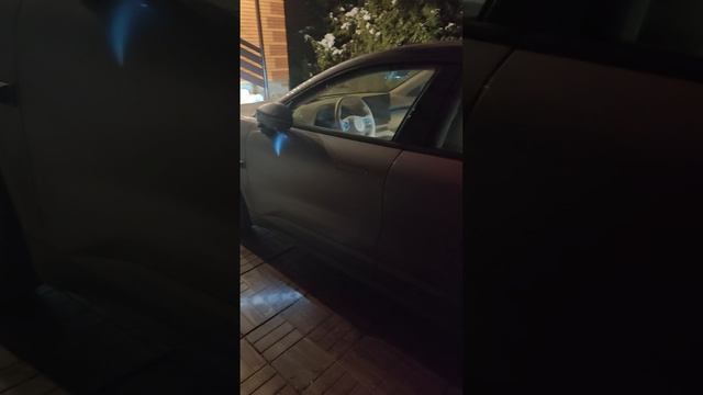 Звук открывания/закрывания автомобиля Zeekr 001