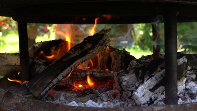 Легко сохранить сладкую кукурузу на год