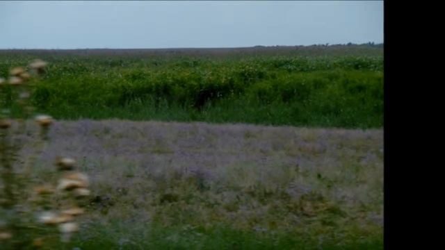 Одесса-Вилково