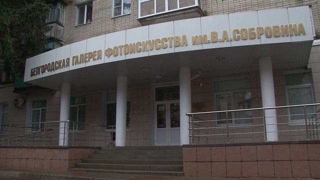 В Белгороде назвали победителей свадебного фотоконкурса