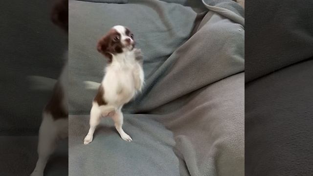 Ляля .mp4