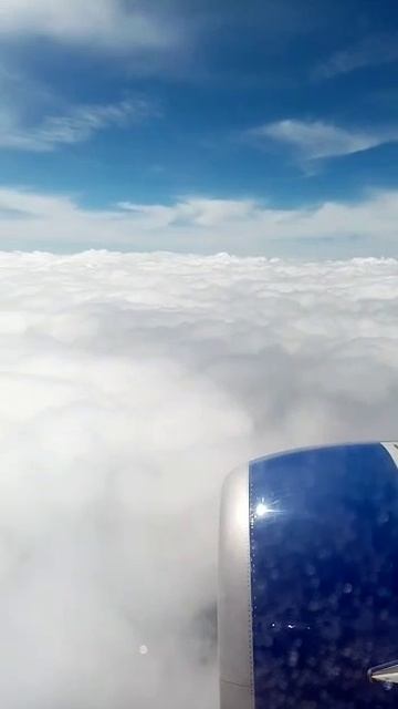 Вид из окна Самбика