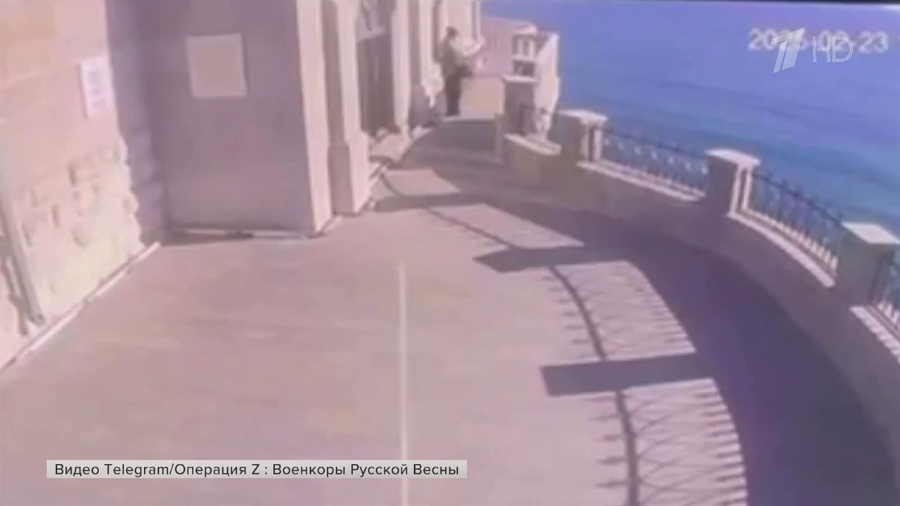 Сбросивший из "Ласточкина гнезда" кошку живодер задержан и отправлен в медучреждение