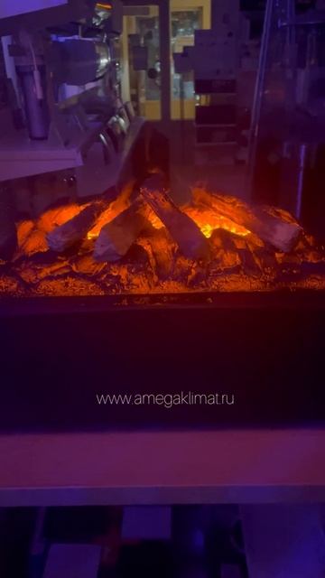 Встраиваемый электрический камин Royal Flame Design L560RF 3D LOG