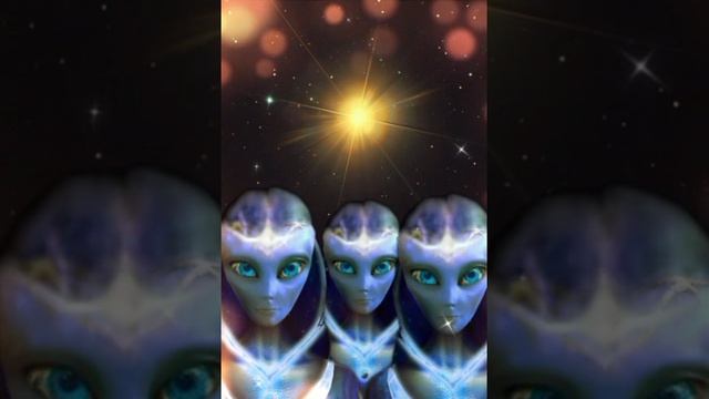 Беседы с Арктурианской группой от 19.02.25 🙏 Первые ласточки, Кайлас, дельфины. Через Гузалию.