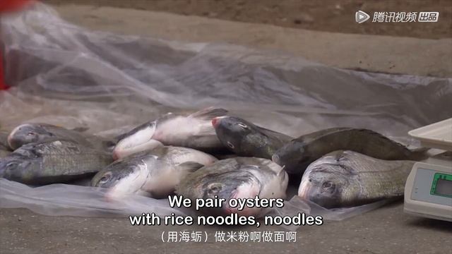 MULTI SUB [Granny Knows Best] EP06 | Fujian: Pingtan Locals' Philosophy of Seafood | Tencent Video