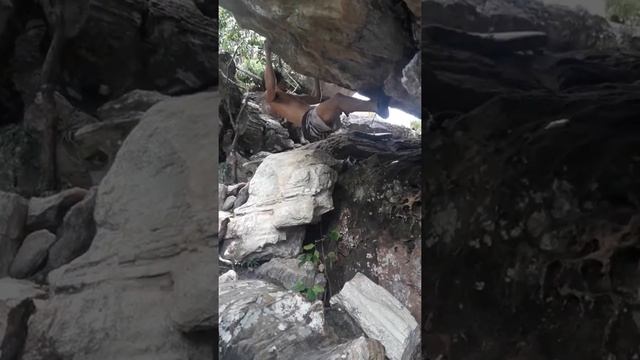 Hueco Rasta v12*  cocalizinho boulder