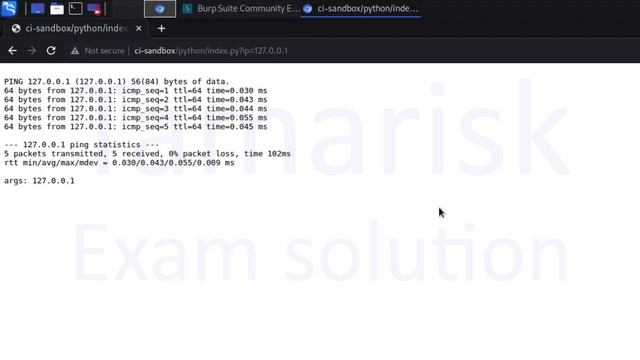 33.Tamarisk-WEB200-CI_01_02-Familiarizing Ourselves with the Sandbox
