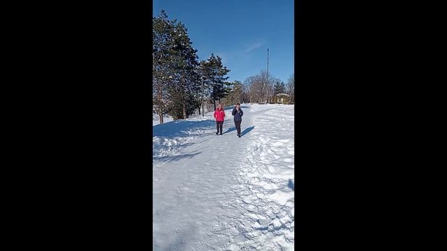 Радость