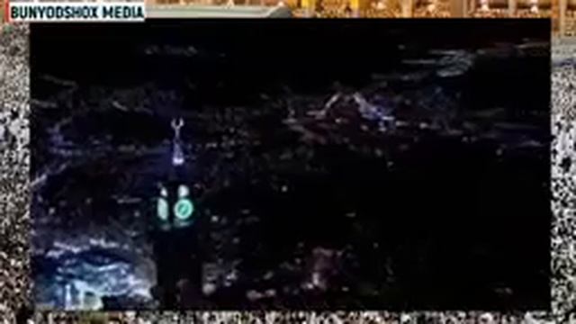 Фитр роза хакида