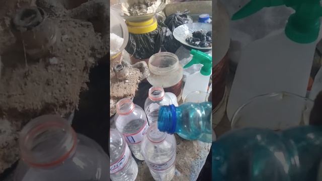 Pelarut logam dari air aki