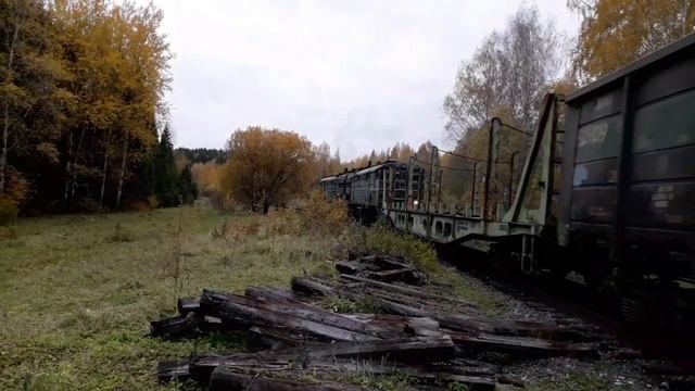 "Золотая осень" Тепловоз 2ТЭ10В-4457 с грузовым составом.