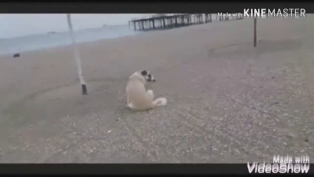 Влог:Осенью на море