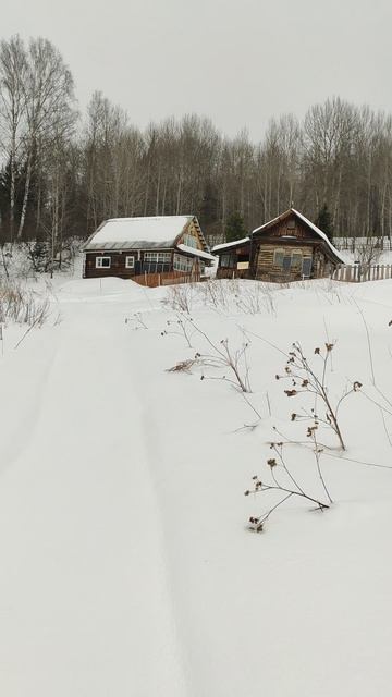 Пасека Нижние Бараки. Лыжный поход