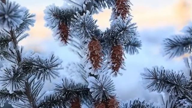 Зимние пейзажи