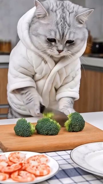 мультик ,котик