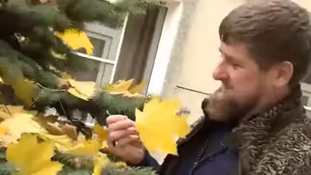 Ramzan Kadyrov Осень