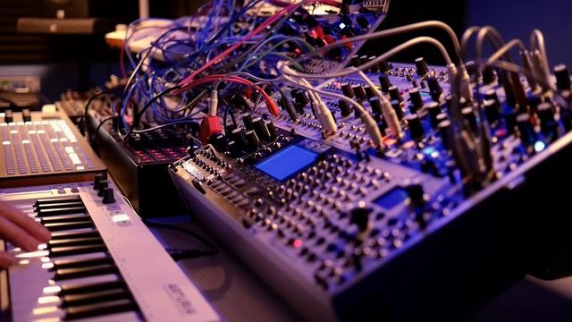 'Fireflies' Ambient Modular Performance (E370, Morphagene)