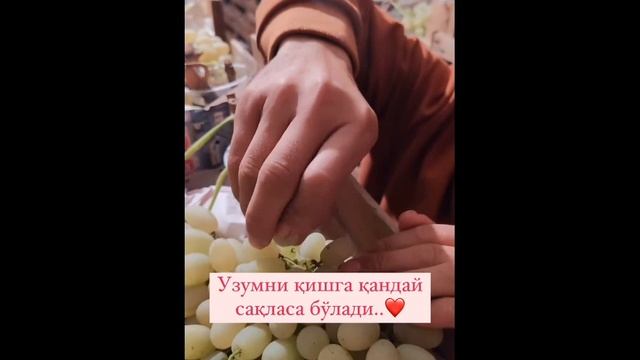 узумни кандай саклаш киш пайтида