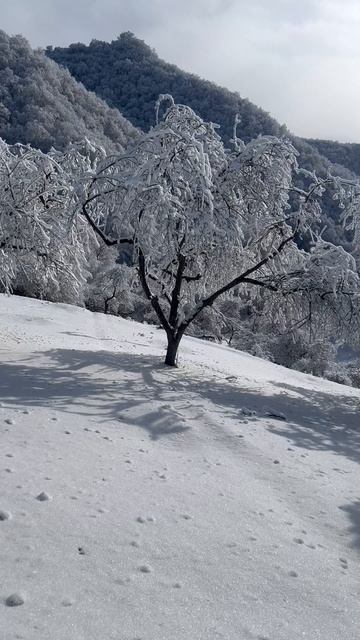 Швейцария эт второй Табасаран #табасаран#табасаранскаясвадьба