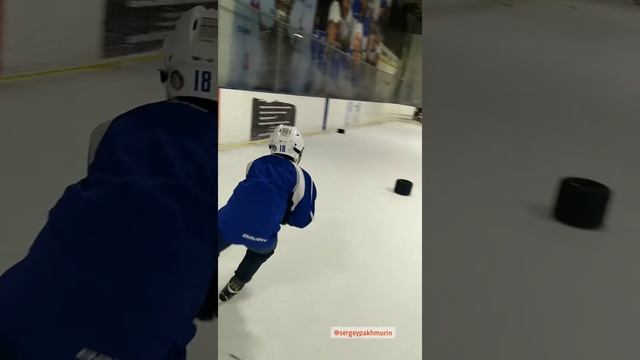 ОСНОВНЫЕ ВИДЫ ХОККЕЙНОЙ ОБВОДКИ. ЧАСТЬ 1. MAIN TYPES OF HOCKEY RIDING.  PART 1.