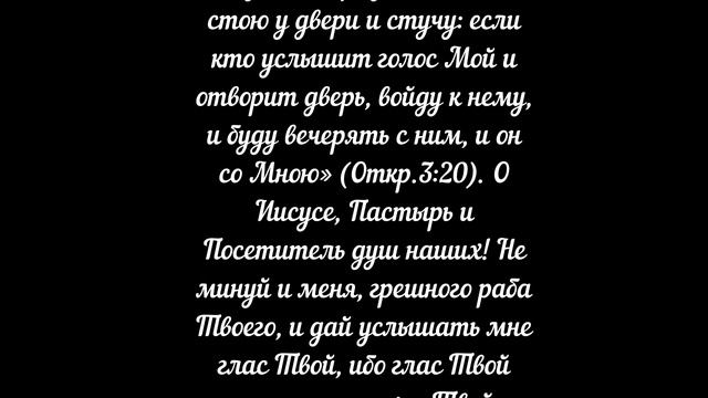 №46. ЖЕЛАНИЕ. Свт. Тихон Задонский (без музыки)