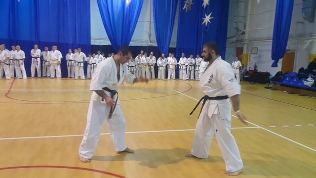 SENSEI ARMAN PETROSYAN ARMENIA