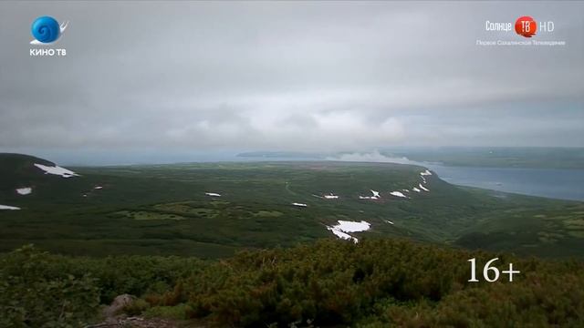 23.07.2019 Посиделка курильчан на берегу моря закончилась поножовщиной