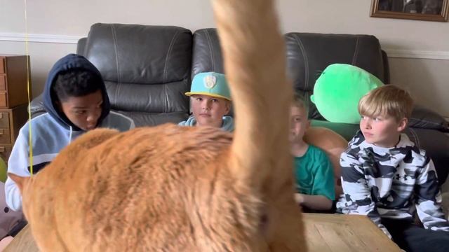 Takis Salsa Brava 🌶️🌶️ taste test! Bonus Birthday video with friends!🎂