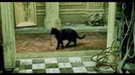 CATRIX
