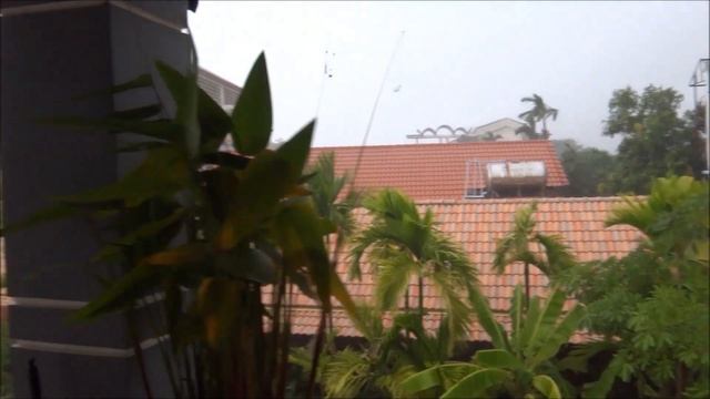 Тропический ливень. Heavy rain in the tropics - a powerful shower.