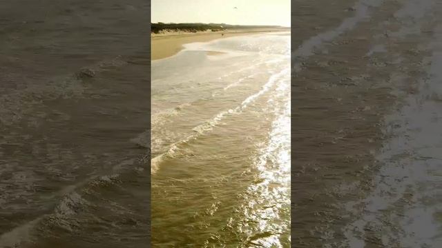 ABENDLICHTER  Evening Lights  -Renesse Beach- NL