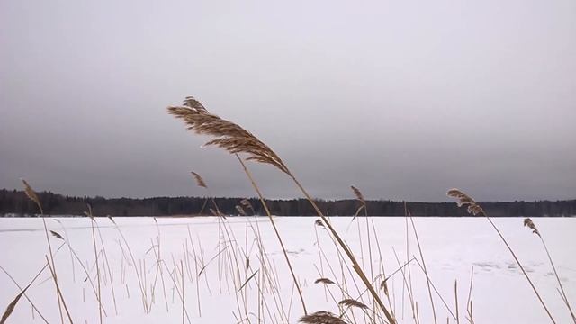 Релакс. Зимний Ветер/Relax. Winter Wind