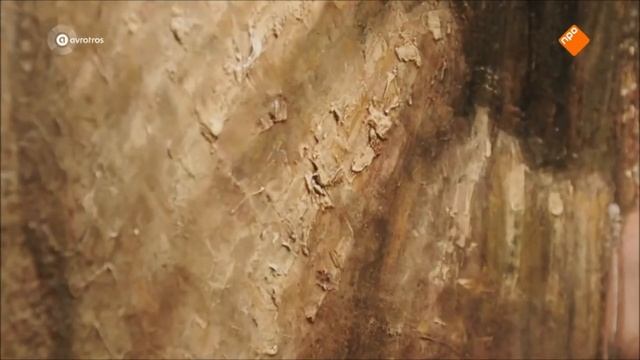 Video 5: Rembrandt van Rijn