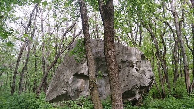 Как же хочется весны! Вот такой.
