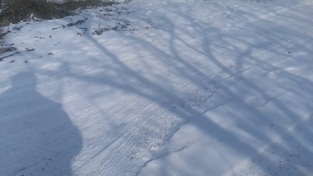 VID_20250225_130437