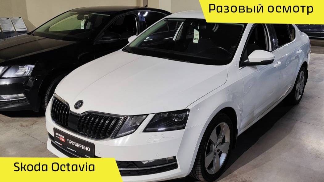 🚀 Разовый осмотр Skoda Octavia