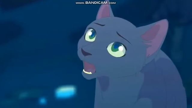 клип коты воители *|* Gimme *|*