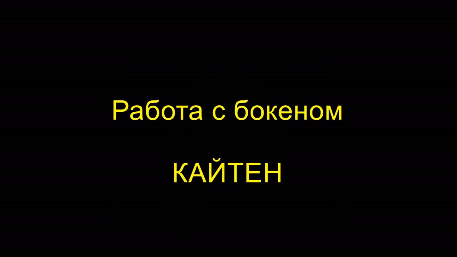 КАЙТЕН. Работа с бокеном. Айкидо "Борей"