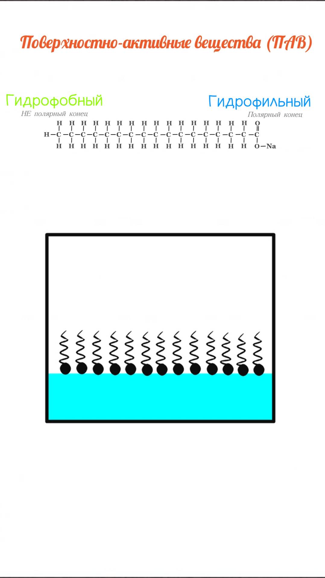 Поверхностно-активные вещества