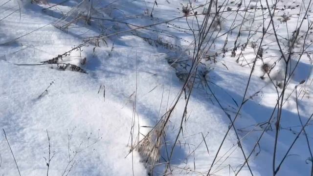 Насколько далеко от Суджи отброшен противник? Эксклюзивный репортаж Георгия Мамсурова с передовой