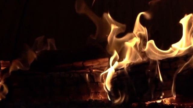 Вой - В ночном лесу | Страшные истории | Истории на ночь | Страшилки на ночь