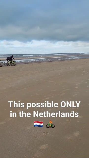 We met the bicycles even on the Dutch beach ⛱️ 🤯 #holland #netherlands