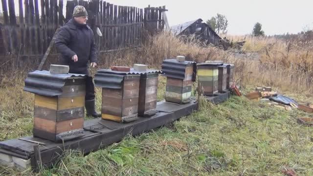 Не повезло....  (Часть 1.     ) Это сподвигло на изготовление и установку эл пастухов для  пасек.