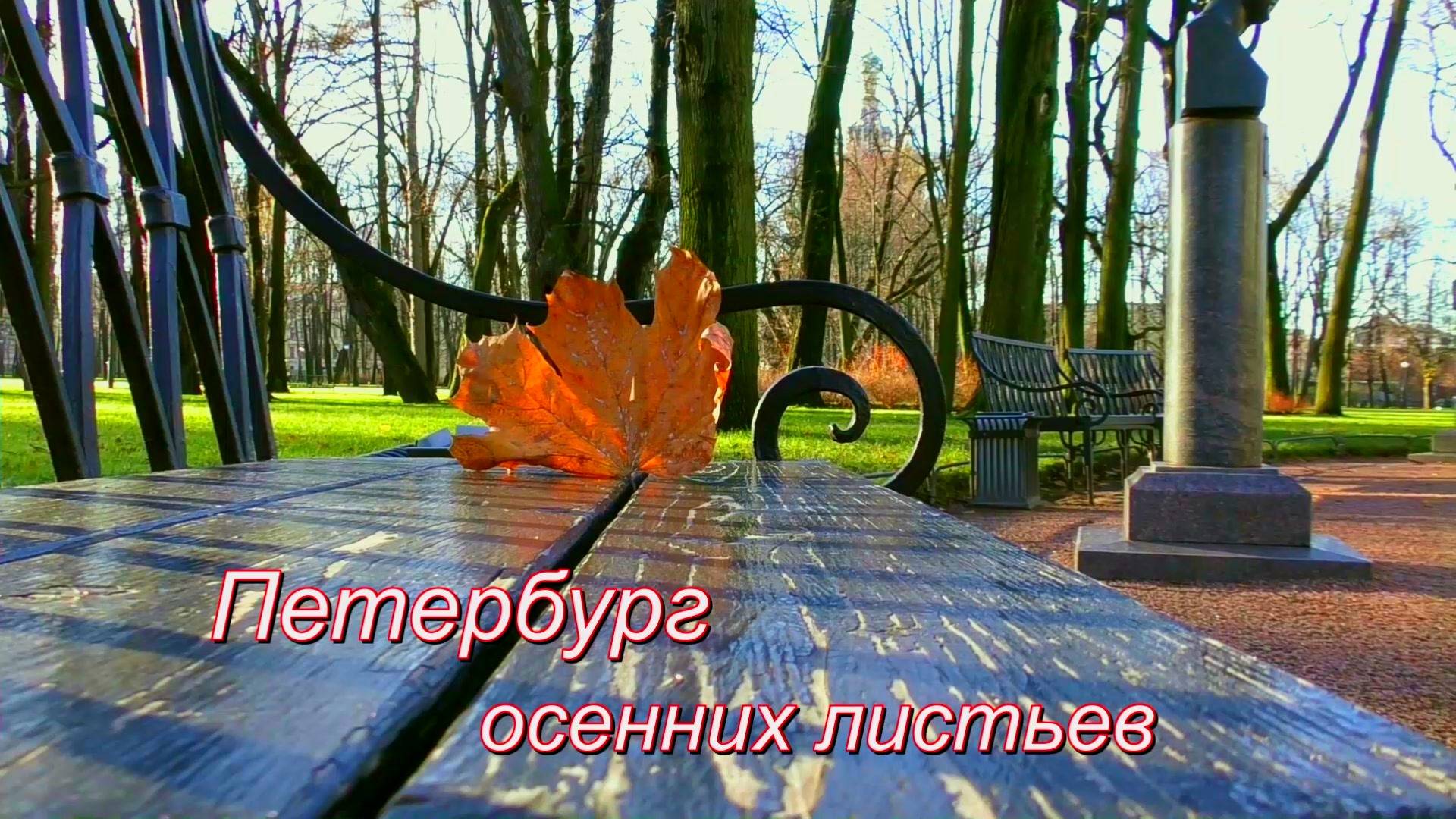 Петербург осенних листьев