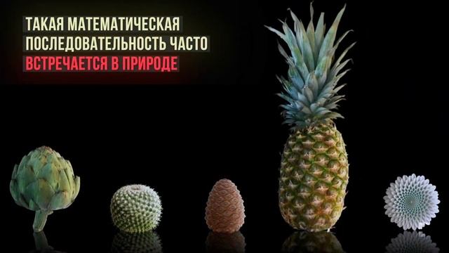 «Живые» инсталляции Джона Эдмарка