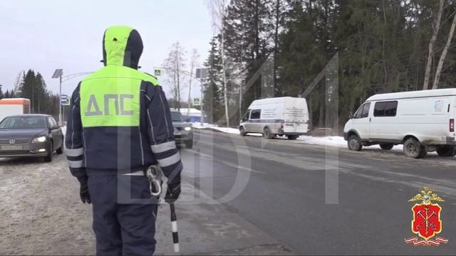 Полиция провела миграционный рейд в частном секторе Усть-Луги