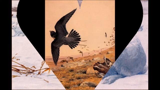 Фуертс Луис Агассис (Fuertes Louis Agassiz) картины великих художников