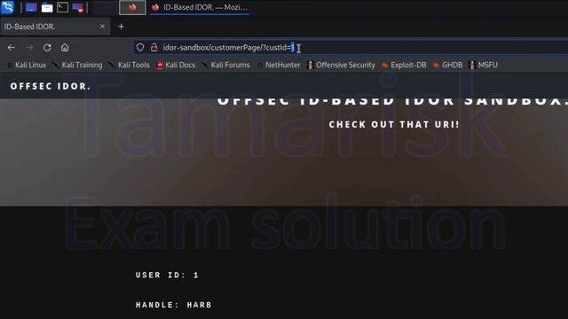 56.Tamarisk-WEB200-IDOR_02_03-Exploiting ID-Based IDOR