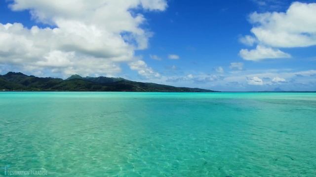 Tropical Paradise 4K Relaxation Video | Escape to Paradise With Tropical Beaches Drone Footage in 4